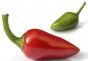 Чем полезен красный стручковый перец: описание состава и свойств продукта Как делают красный перец